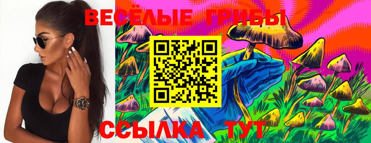 Псилоцибиновые грибы прущие грибы  Галлюциногенные грибы Psilocybine cubensis  Вход с VPN  Майкоп 